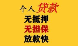 东莞无抵押信用贷款办理-东莞无抵押身份证贷款分期-东莞无抵押小额私人借贷